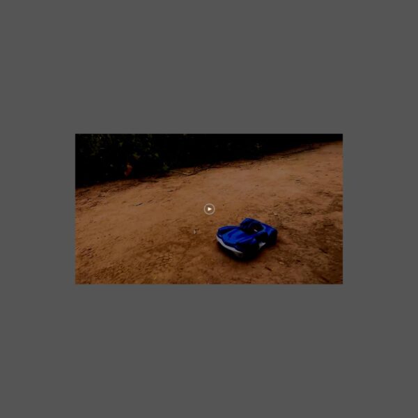 NKOK Team Sonic Racing 2.4GHz Radio Control Toy Car with Turbo Boost - Shadow The Hedgehog 602, Red, Turbo Boost Feature, Features Working Lights, for Ages 6 and up - Image 6